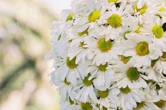 White Poppy Floral Design