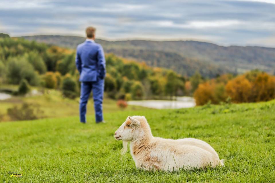 Seven Pond Farms, NY