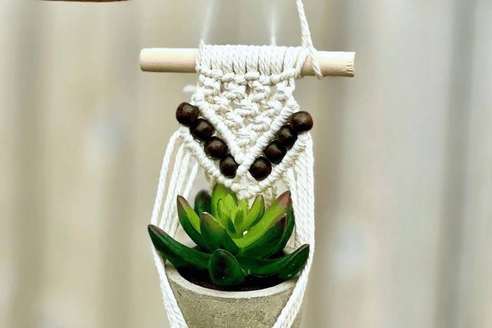 Earthy Elegance Essentialz