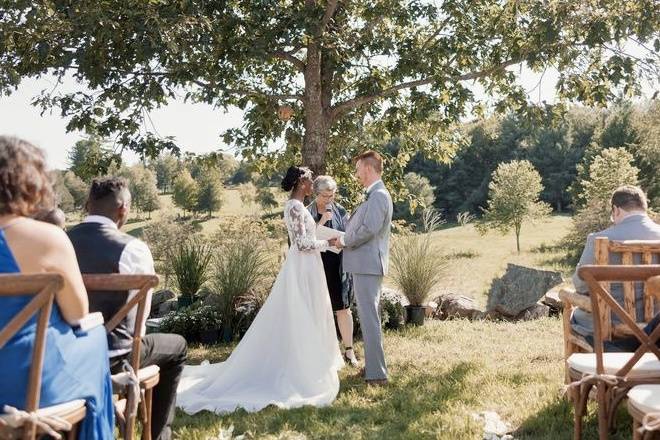 Farm Wedding 🐝❤️