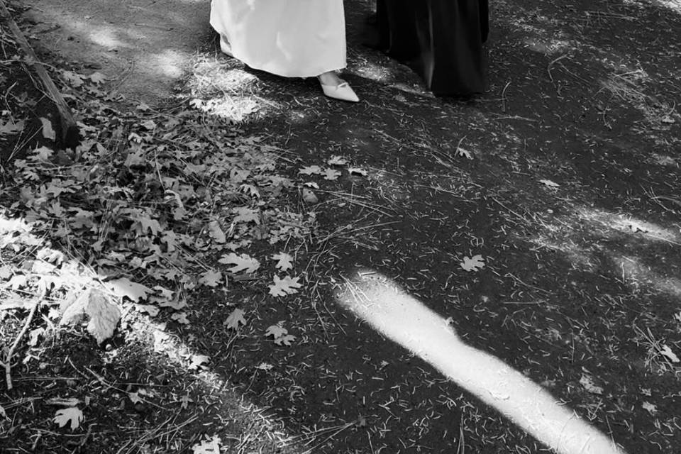 Wedding party