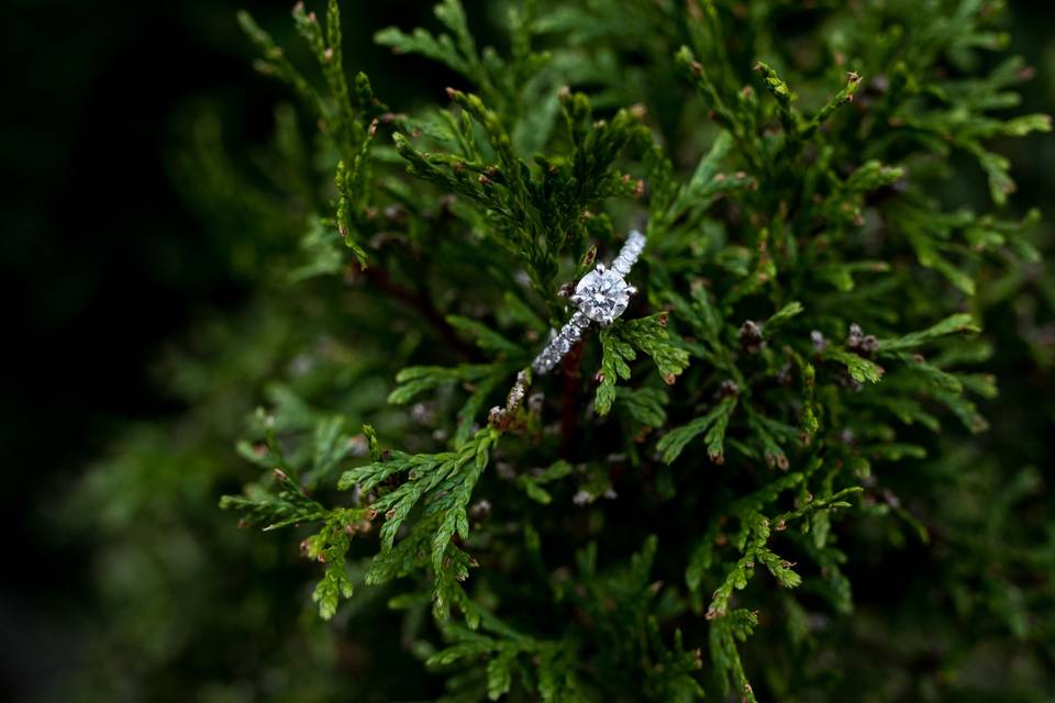 Ring details @ e-session