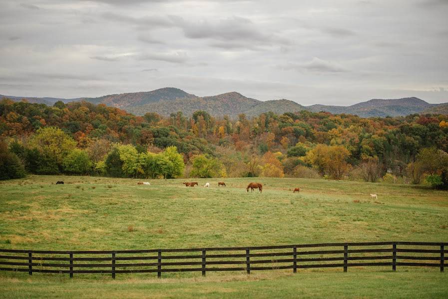 Fall at the ranch