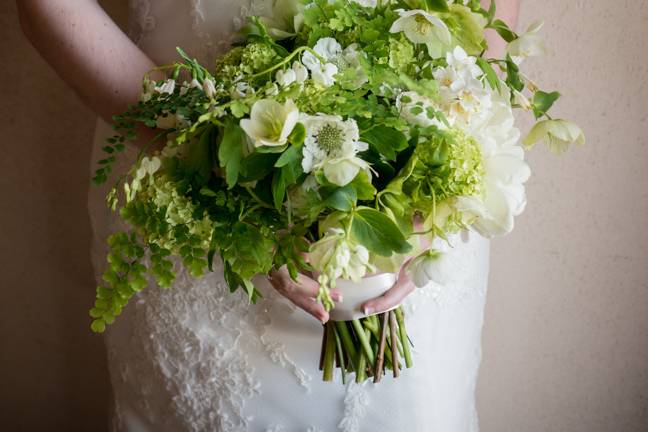 Bride, ferns and lace