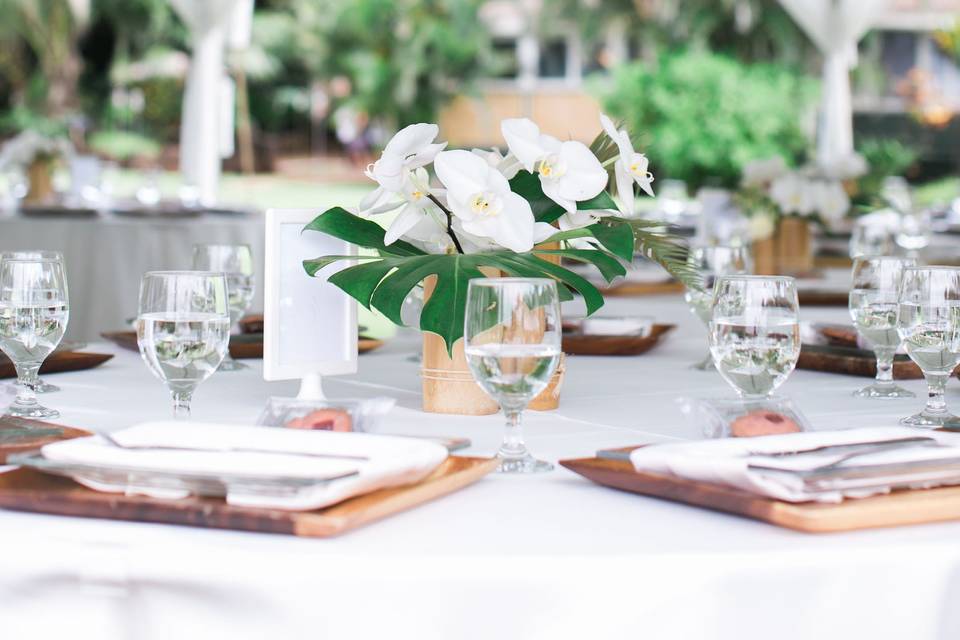 Photography by Just B