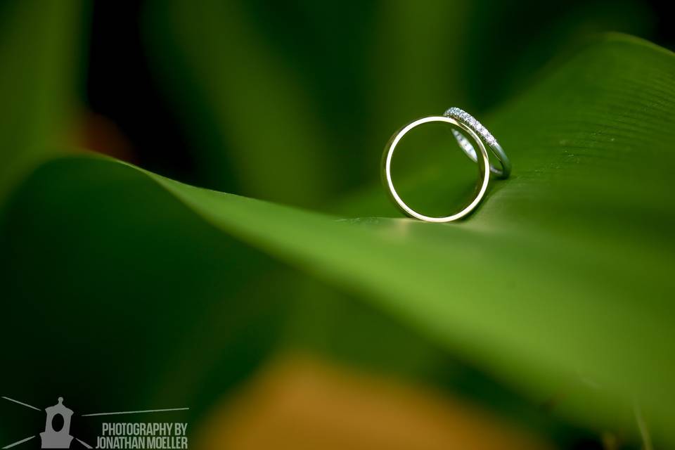 Photography by Jonathan Moeller