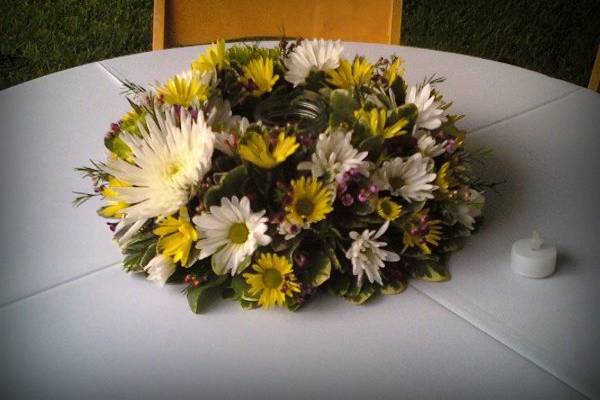 Events By Mystical Gardens