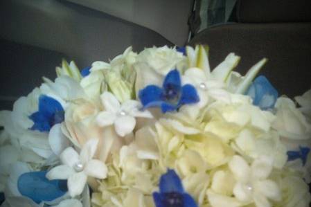 Events By Mystical Gardens