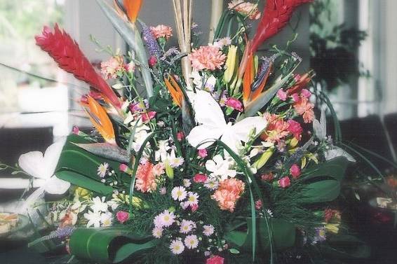 Events By Mystical Gardens