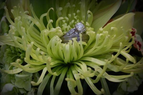Events By Mystical Gardens