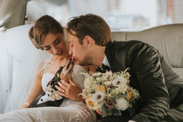 Unforgettable Expressions Photography