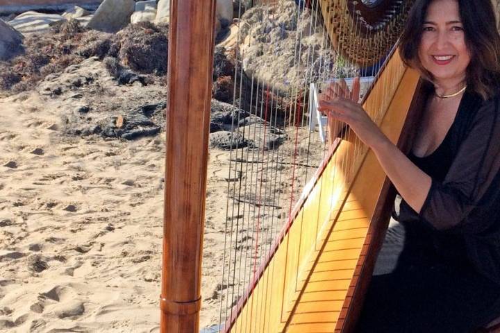 Valerie Saint Martin, Harpist & Opera Singer