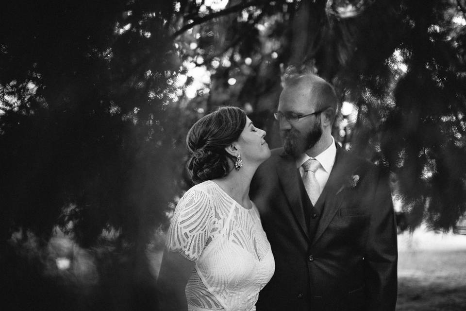 Alex & Rachel Weddings