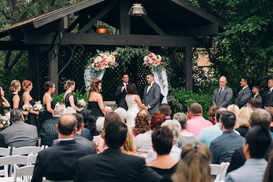 The Socal Wedding Officiant