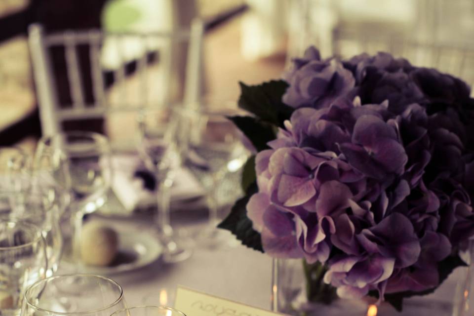 Violette & Rose Wedding and Event Planner