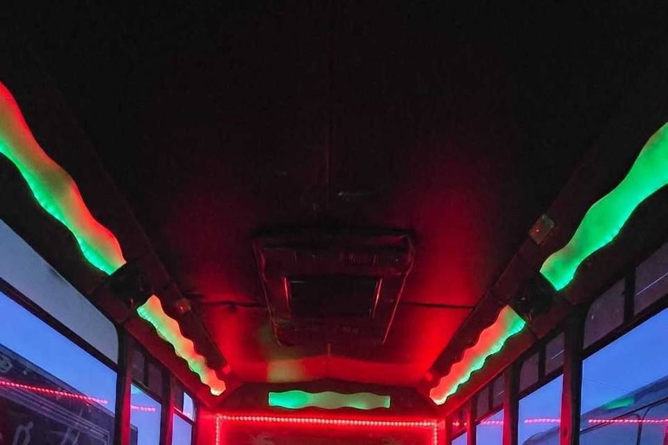 40 passenger party bus