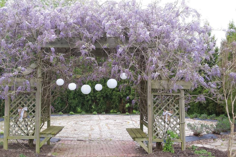 Lavender Fields at Warrington Manor