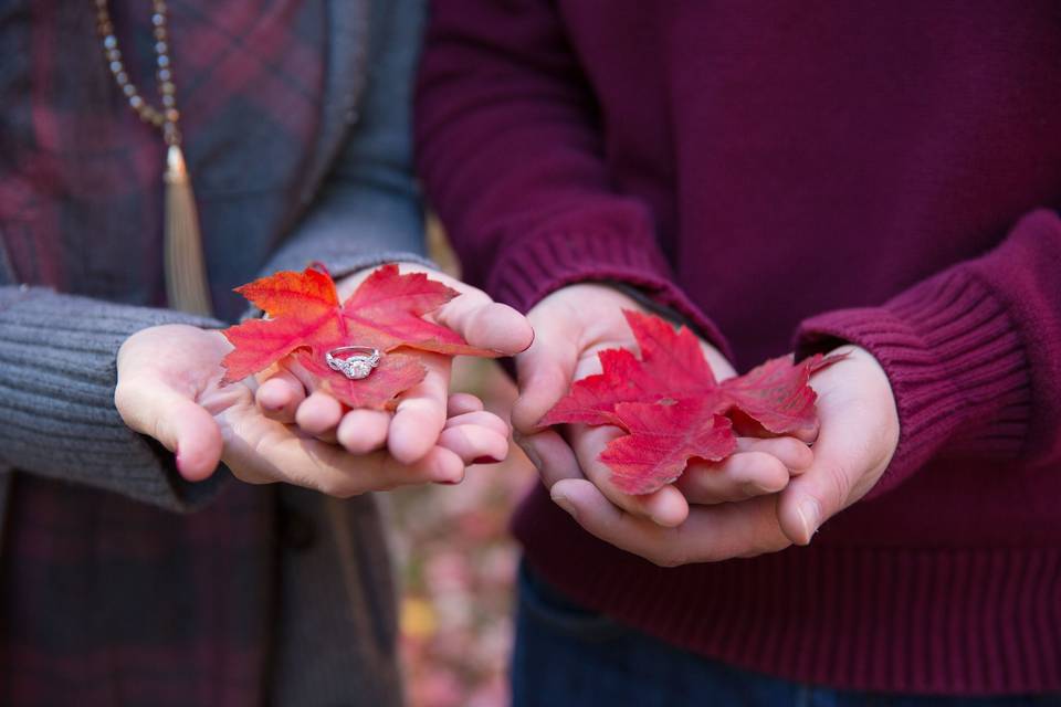 Lens and Palette Photography