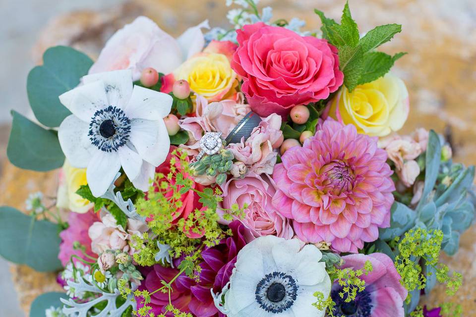 Lens and Palette Photography