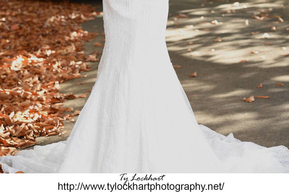 Ty Lockhart Photography