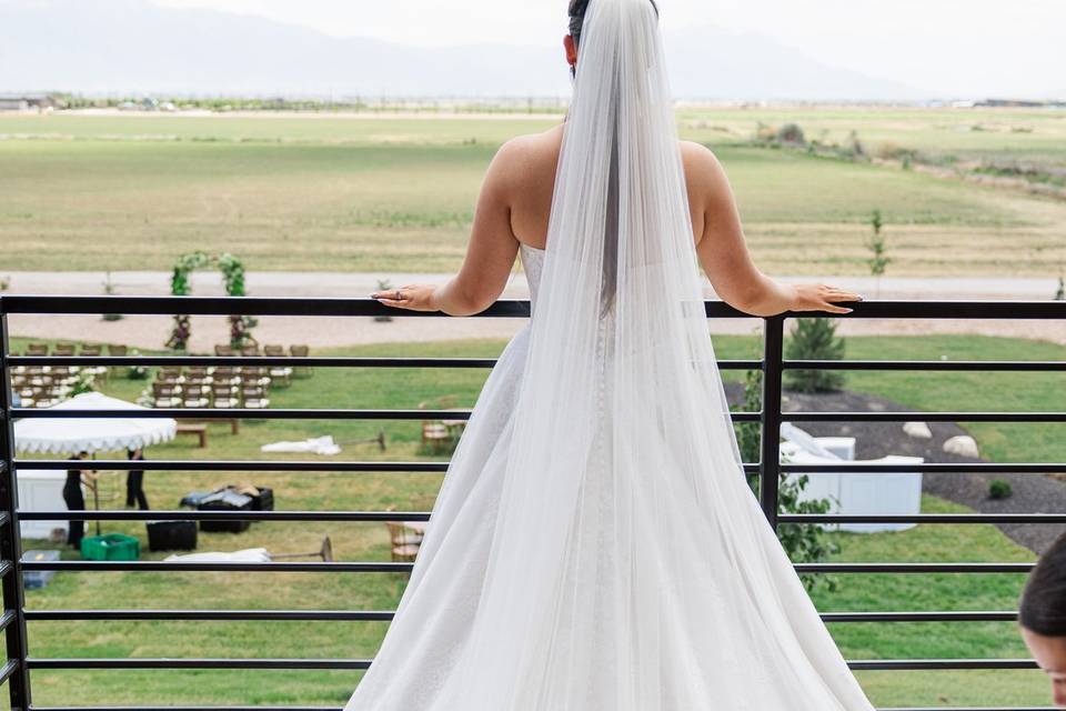 Dress in grand hall window
