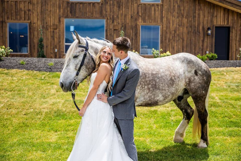 Photography with horse
