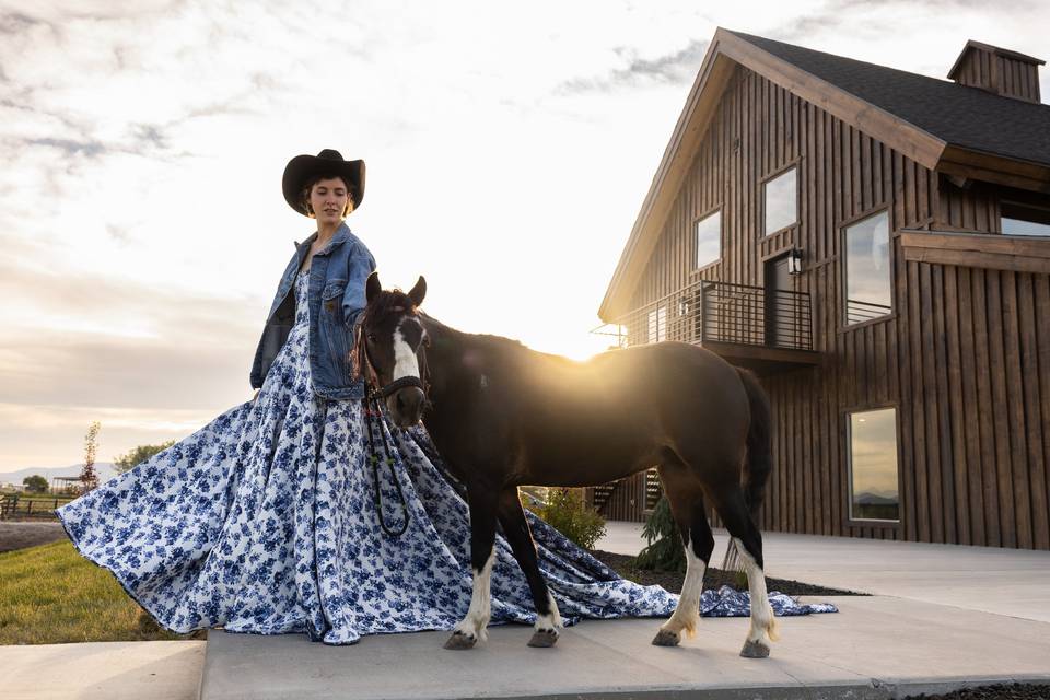 Photos with horses