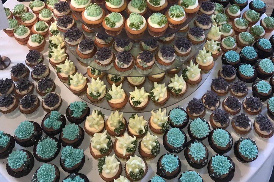 Succulent Wedding Cupcakes and Cake