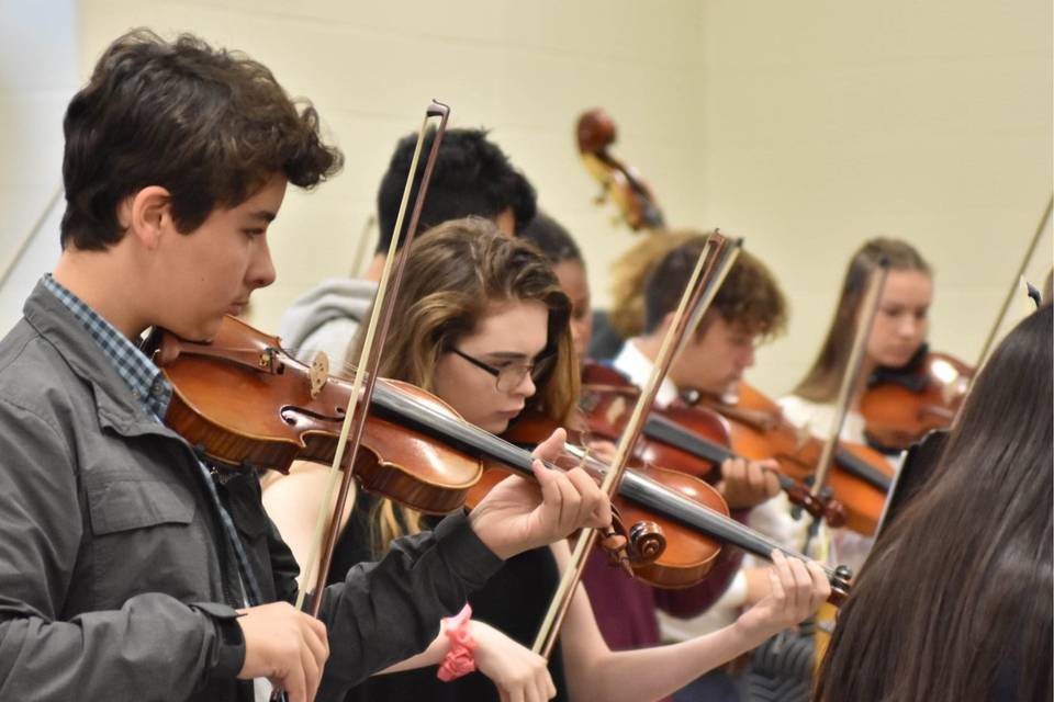 Aria Strings