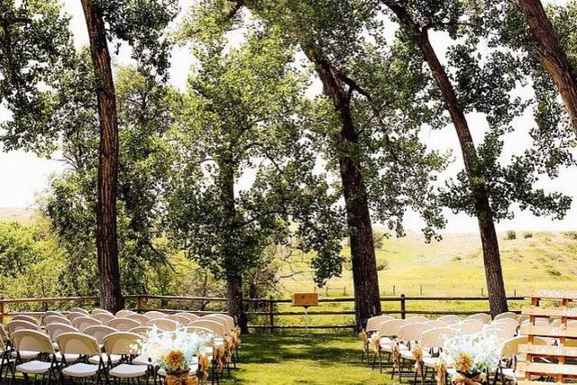 Wedding ceremony setup