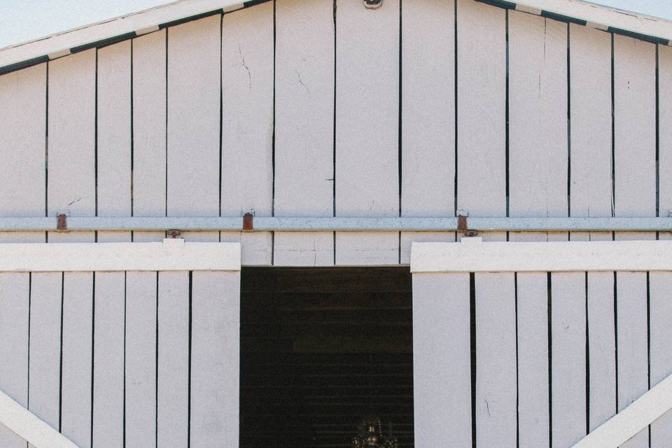 Bridal portrait