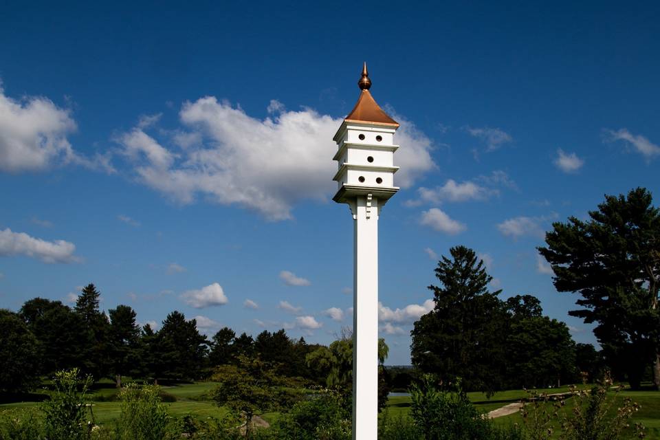 Views of the golf course