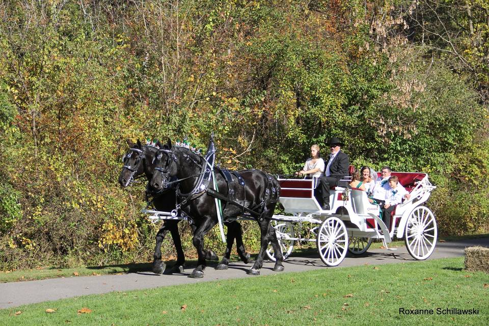 JK Percherons