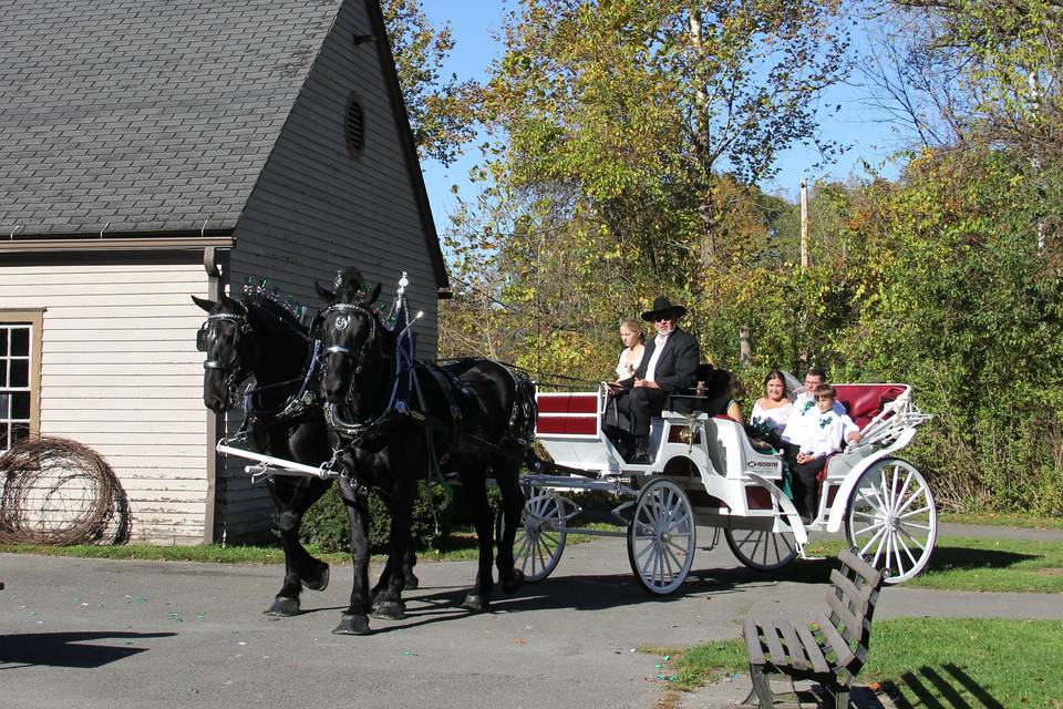 JK Percherons - Horse Drawn Carriage Service