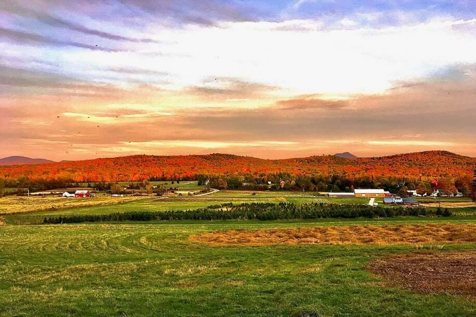 Farm grounds at sunset