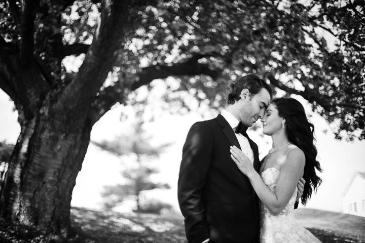 Anthony Vazquez Photography