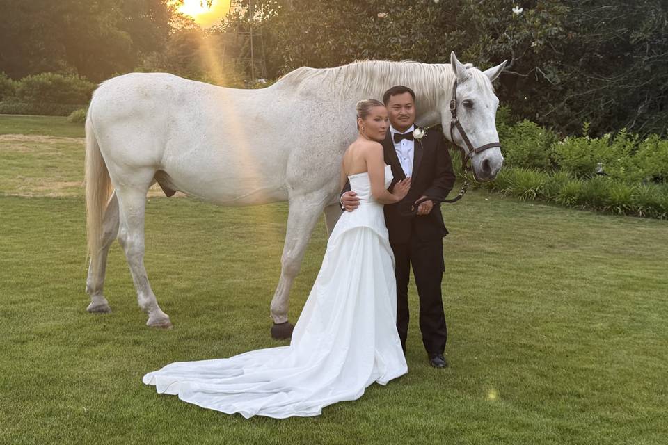 Wedding