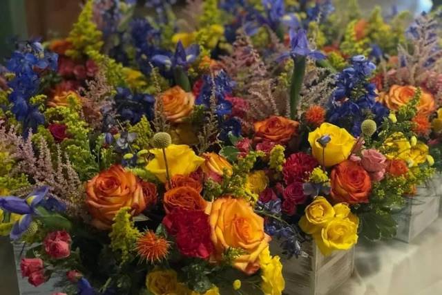 Colorful arrangement