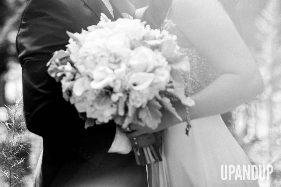 Up and Up Weddings