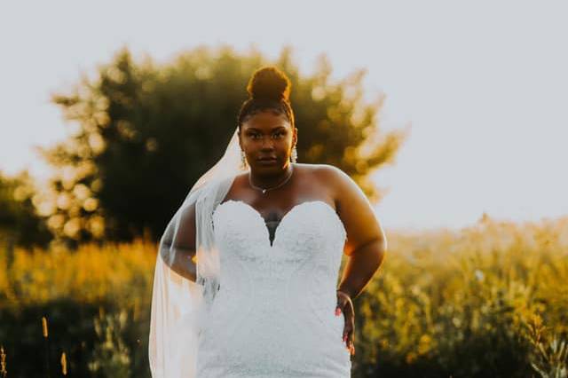 Dresses for plus size brides