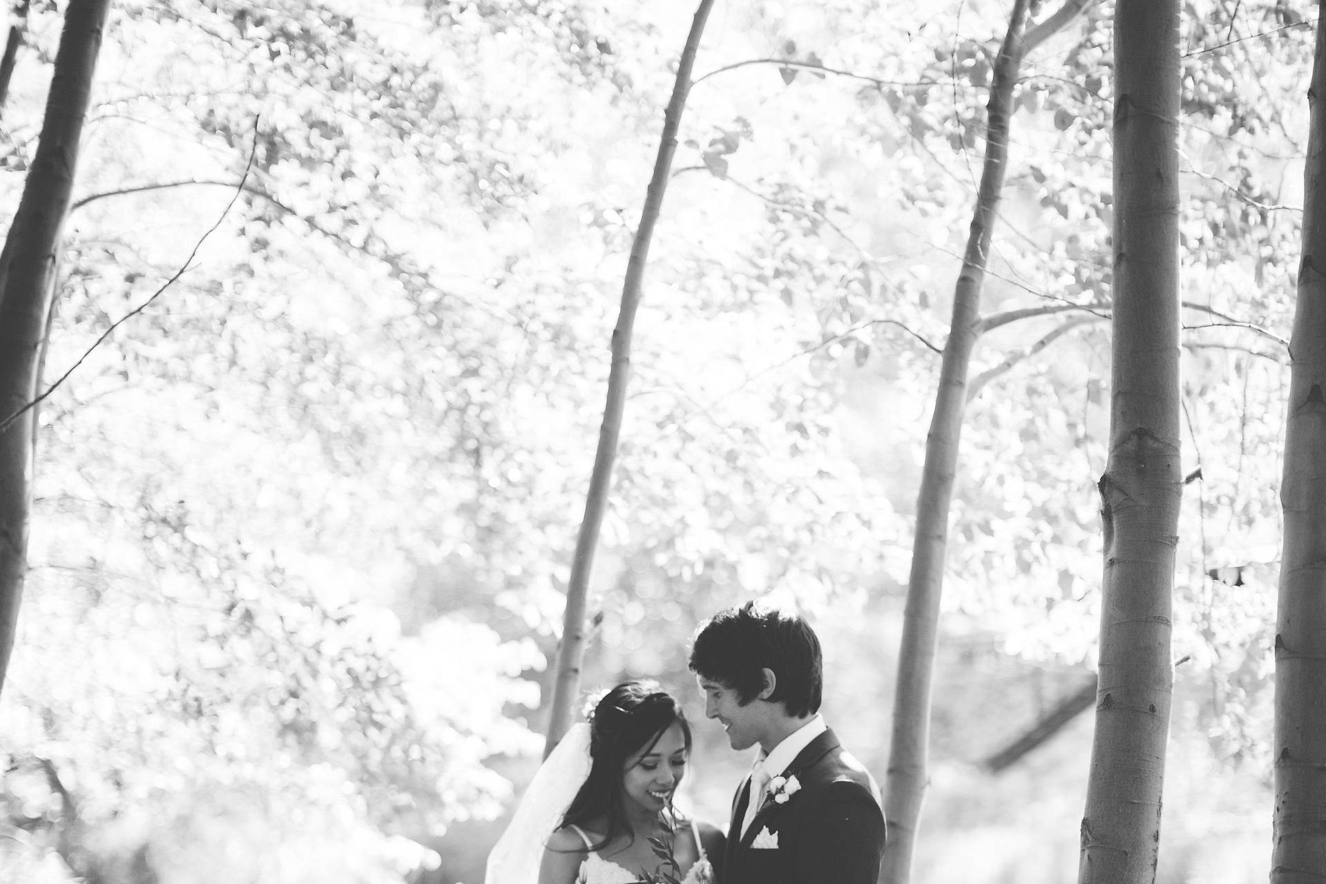 Sedona Mountain High Flowers Wedding Florists Sedona, AZ WeddingWire