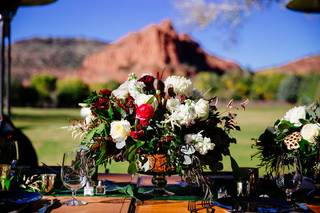 Sedona Mountain High Flowers