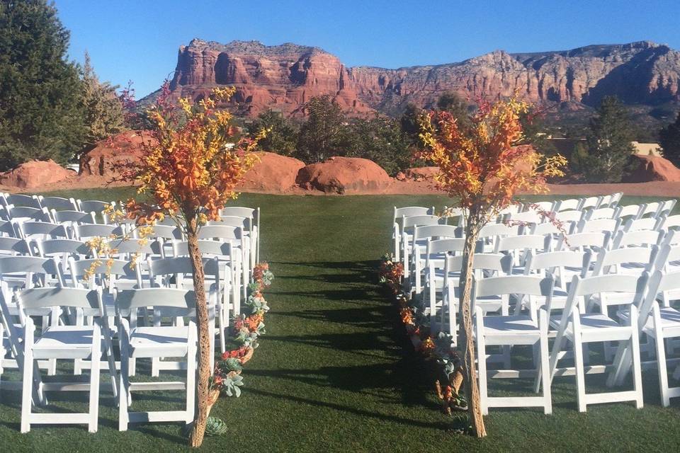 Sedona Mountain High Flowers