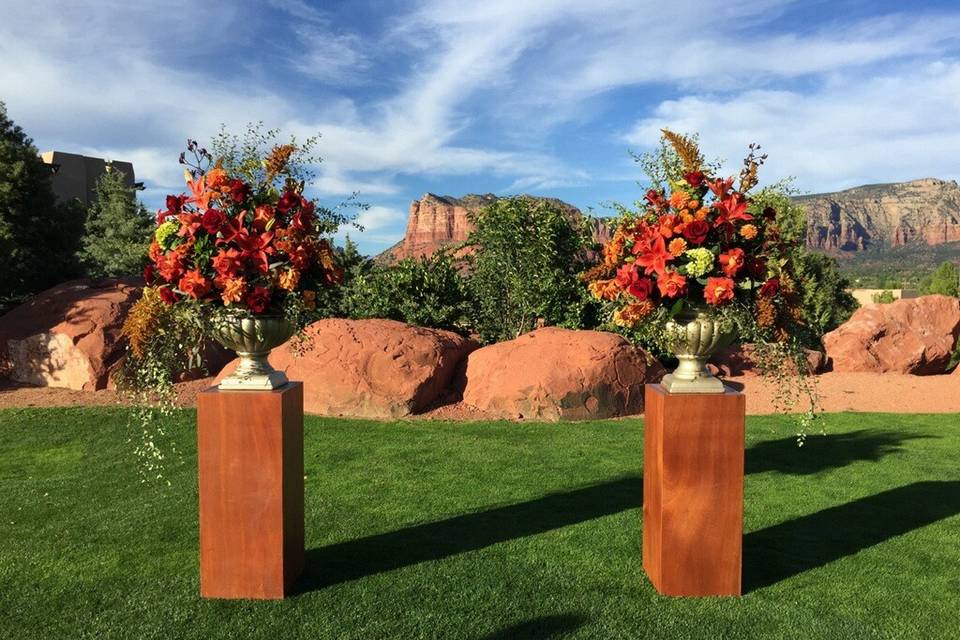 Sedona Mountain High Flowers