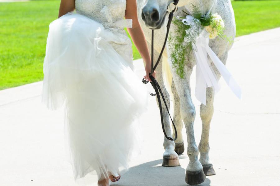 Bride and a horse