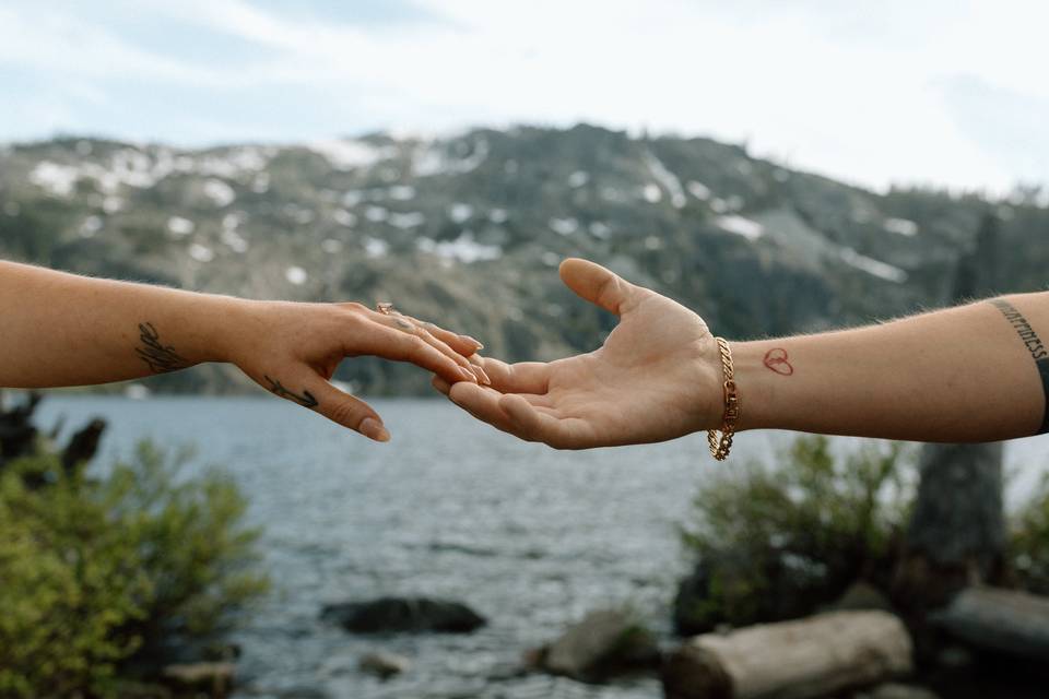 M + A