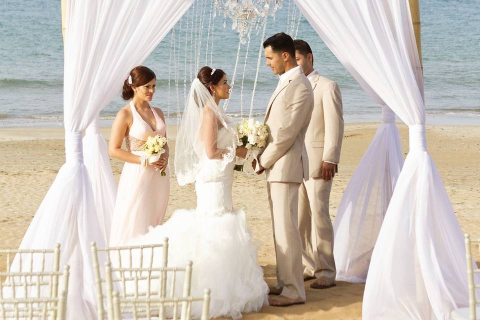 Wedding Planner