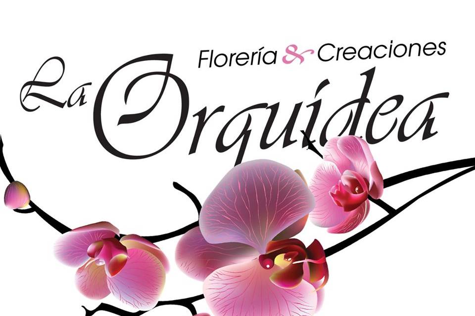 Floreria La Orquidea - Flowers - Chicago, IL - WeddingWire