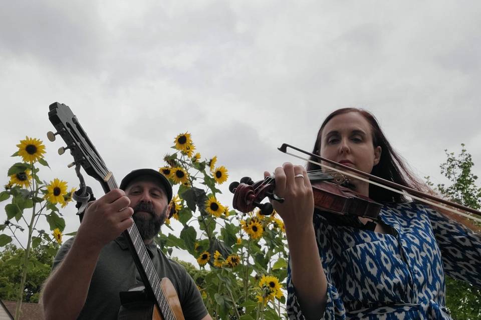 Ramona Road Strings