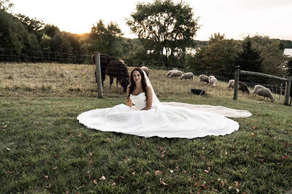 Chloe Schuster imagery
